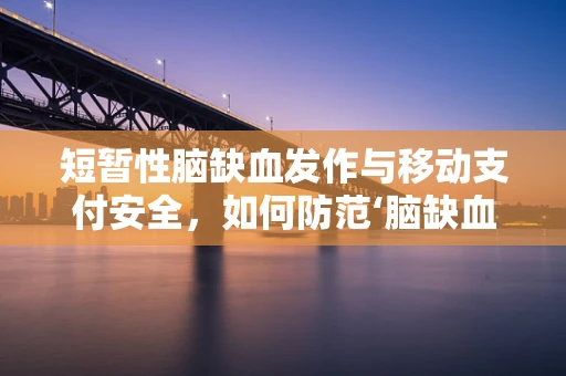 短暂性脑缺血发作与移动支付安全，如何防范‘脑缺血’式支付风险？