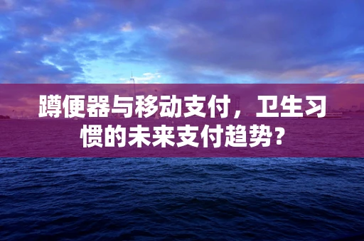 蹲便器与移动支付，卫生习惯的未来支付趋势？