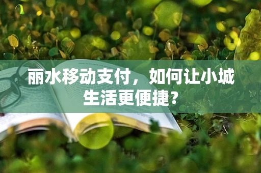 丽水移动支付，如何让小城生活更便捷？