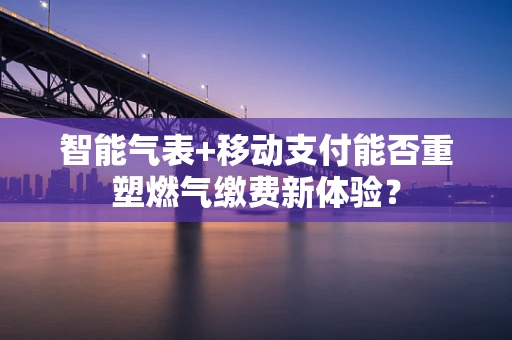 智能气表+移动支付能否重塑燃气缴费新体验？