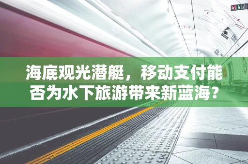 海底观光潜艇，移动支付能否为水下旅游带来新蓝海？