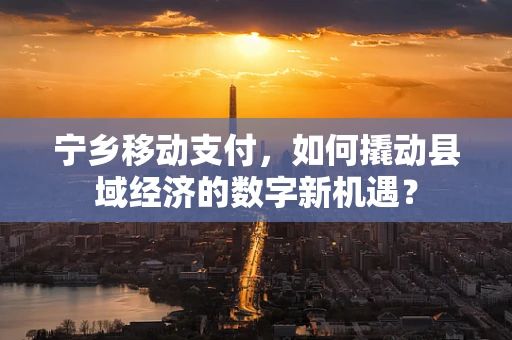 宁乡移动支付，如何撬动县域经济的数字新机遇？