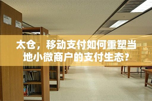 太仓，移动支付如何重塑当地小微商户的支付生态？