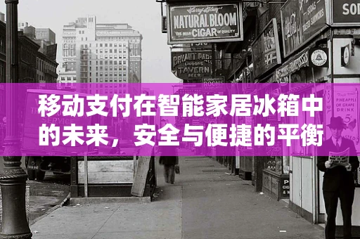 移动支付在智能家居冰箱中的未来，安全与便捷的平衡点？