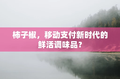 柿子椒，移动支付新时代的鲜活调味品？