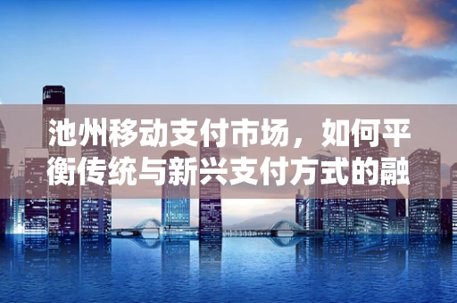 池州移动支付市场，如何平衡传统与新兴支付方式的融合？