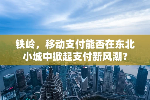 铁岭，移动支付能否在东北小城中掀起支付新风潮？