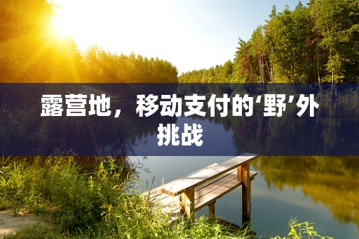 露营地，移动支付的‘野’外挑战