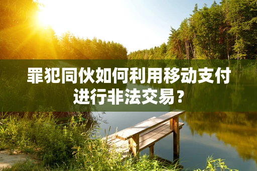 罪犯同伙如何利用移动支付进行非法交易？