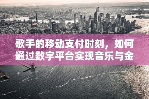 歌手的移动支付时刻，如何通过数字平台实现音乐与金融的跨界融合？