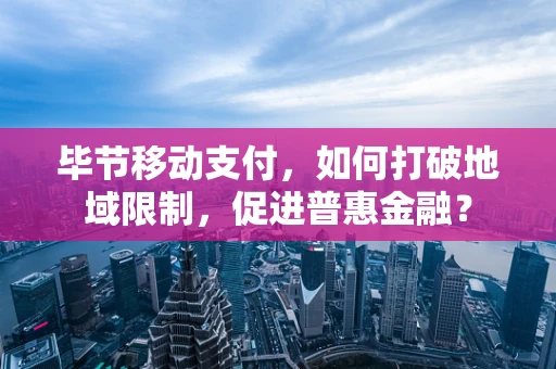 毕节移动支付，如何打破地域限制，促进普惠金融？