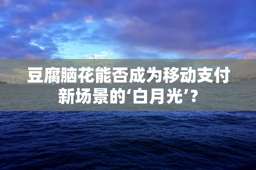 豆腐脑花能否成为移动支付新场景的‘白月光’？