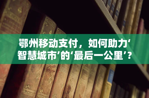 鄂州移动支付，如何助力‘智慧城市’的‘最后一公里’？