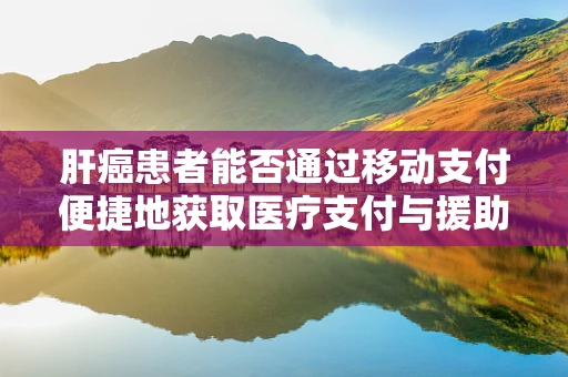 肝癌患者能否通过移动支付便捷地获取医疗支付与援助服务？