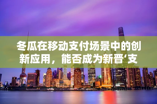 冬瓜在移动支付场景中的创新应用，能否成为新晋‘支付宝’？