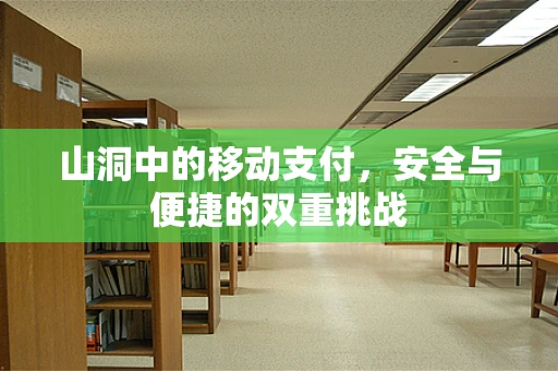 山洞中的移动支付，安全与便捷的双重挑战