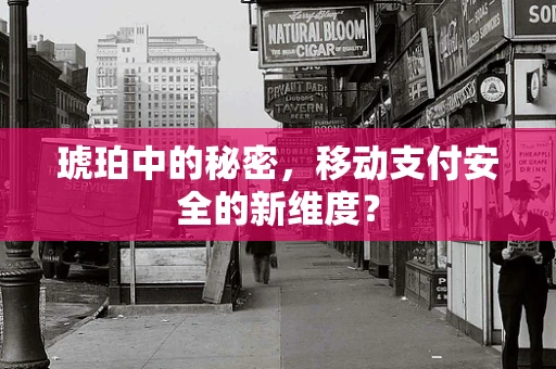 琥珀中的秘密，移动支付安全的新维度？