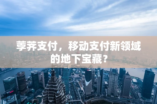 荸荠支付，移动支付新领域的地下宝藏？