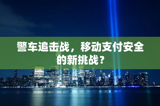 警车追击战，移动支付安全的新挑战？