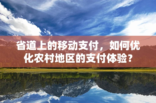 省道上的移动支付，如何优化农村地区的支付体验？