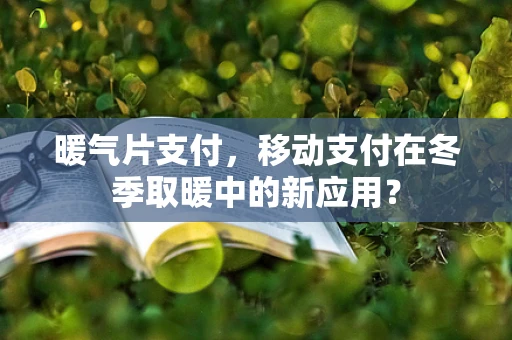 暖气片支付，移动支付在冬季取暖中的新应用？