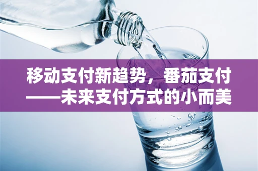 移动支付新趋势，番茄支付——未来支付方式的小而美？