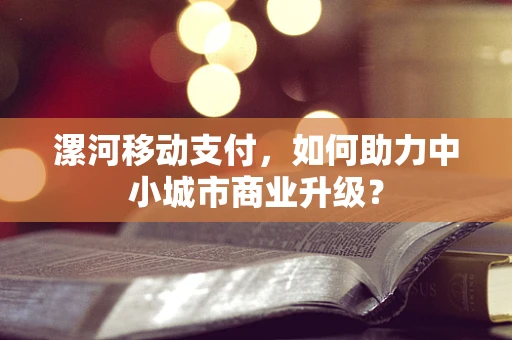 漯河移动支付，如何助力中小城市商业升级？