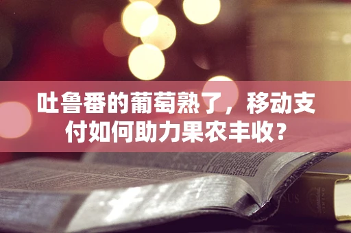 吐鲁番的葡萄熟了，移动支付如何助力果农丰收？