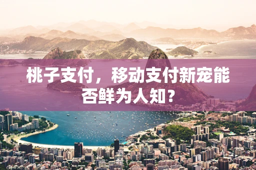 桃子支付，移动支付新宠能否鲜为人知？