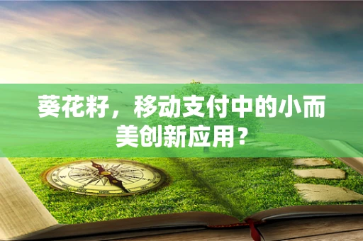 葵花籽，移动支付中的小而美创新应用？