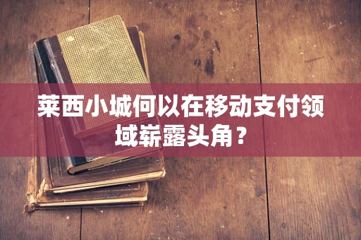 莱西小城何以在移动支付领域崭露头角？