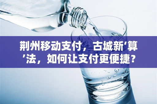 荆州移动支付，古城新‘算’法，如何让支付更便捷？