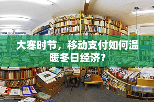 大寒时节，移动支付如何温暖冬日经济？