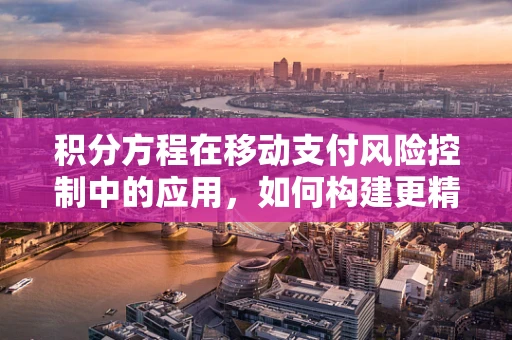 积分方程在移动支付风险控制中的应用，如何构建更精准的支付行为模型？