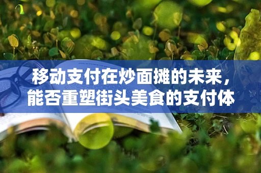 移动支付在炒面摊的未来，能否重塑街头美食的支付体验？