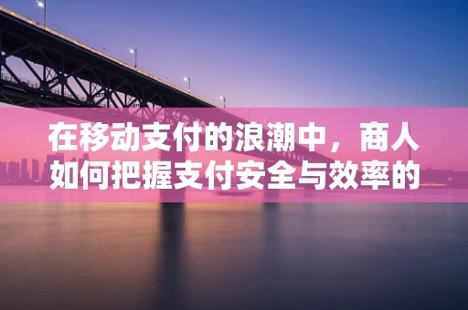 在移动支付的浪潮中，商人如何把握支付安全与效率的平衡？