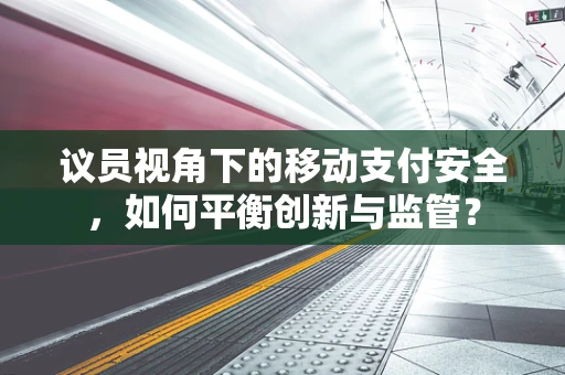 议员视角下的移动支付安全，如何平衡创新与监管？