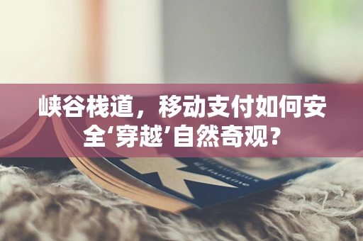 峡谷栈道，移动支付如何安全‘穿越’自然奇观？