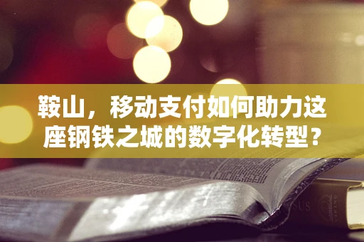 鞍山，移动支付如何助力这座钢铁之城的数字化转型？