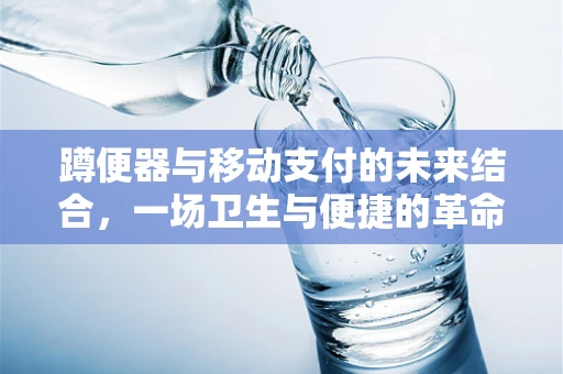 蹲便器与移动支付的未来结合，一场卫生与便捷的革命？