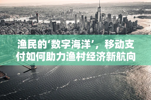 渔民的‘数字海洋’，移动支付如何助力渔村经济新航向？