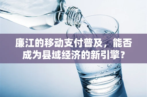 廉江的移动支付普及，能否成为县域经济的新引擎？