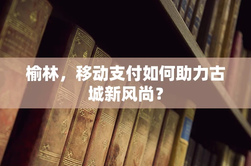 榆林，移动支付如何助力古城新风尚？