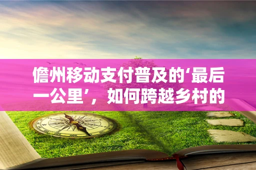 儋州移动支付普及的‘最后一公里’，如何跨越乡村的数字鸿沟？