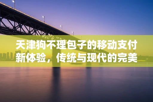 天津狗不理包子的移动支付新体验，传统与现代的完美融合