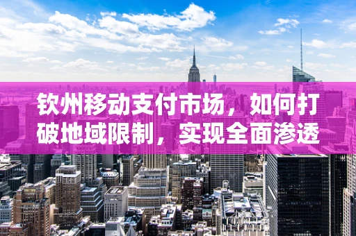 钦州移动支付市场，如何打破地域限制，实现全面渗透？