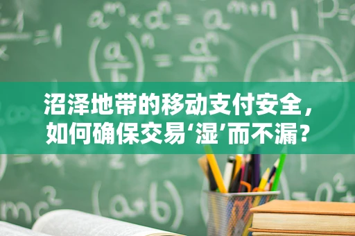 沼泽地带的移动支付安全，如何确保交易‘湿’而不漏？