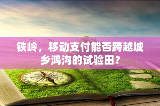 铁岭，移动支付能否跨越城乡鸿沟的试验田？