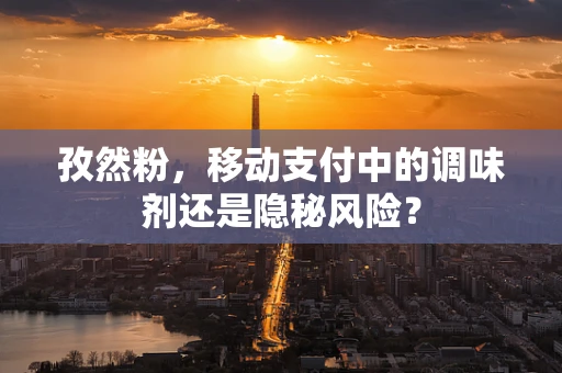 孜然粉，移动支付中的调味剂还是隐秘风险？