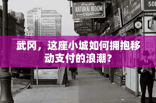 武冈，这座小城如何拥抱移动支付的浪潮？